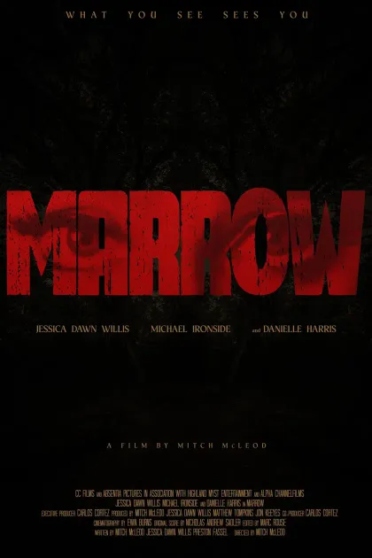 Marrow movie poster featuring the film's dark psychological horror aesthetic